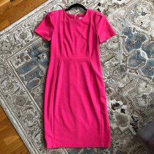 Calvin Klein Gorgeous Pink Dress